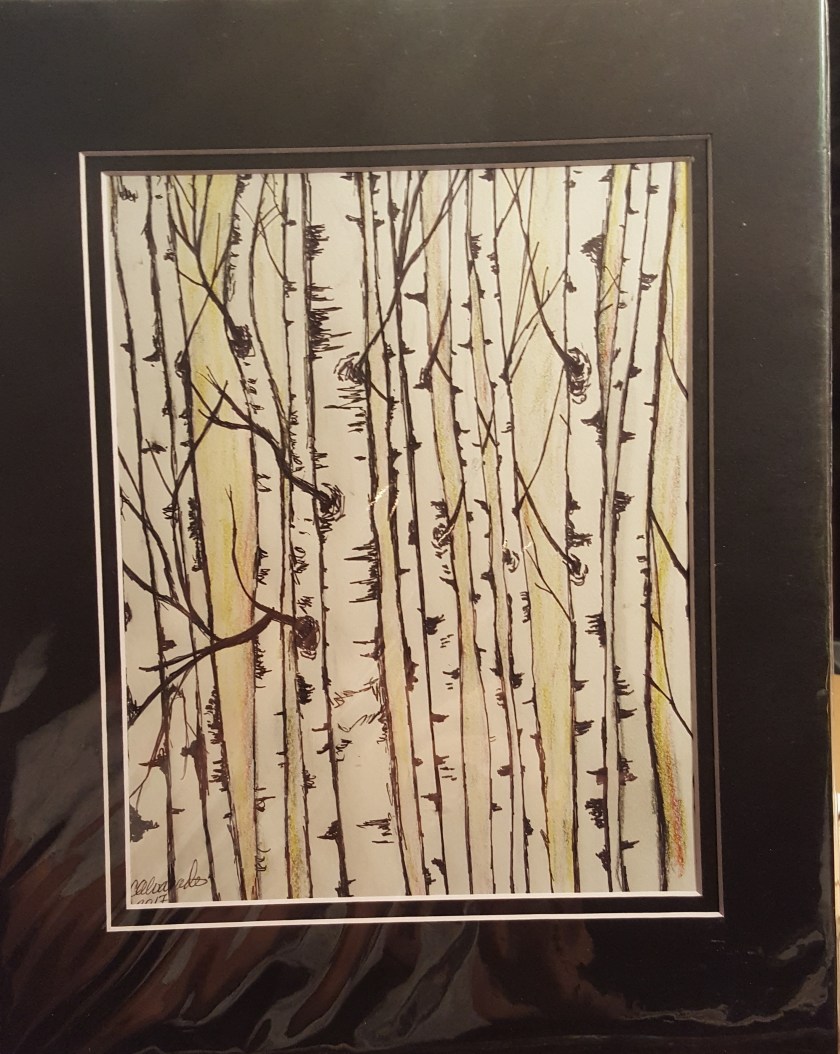 Aspen trees in ink