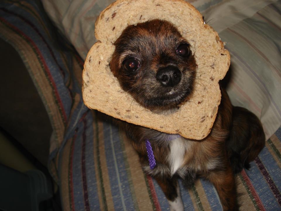 539270_371696849518723_1506662672_n